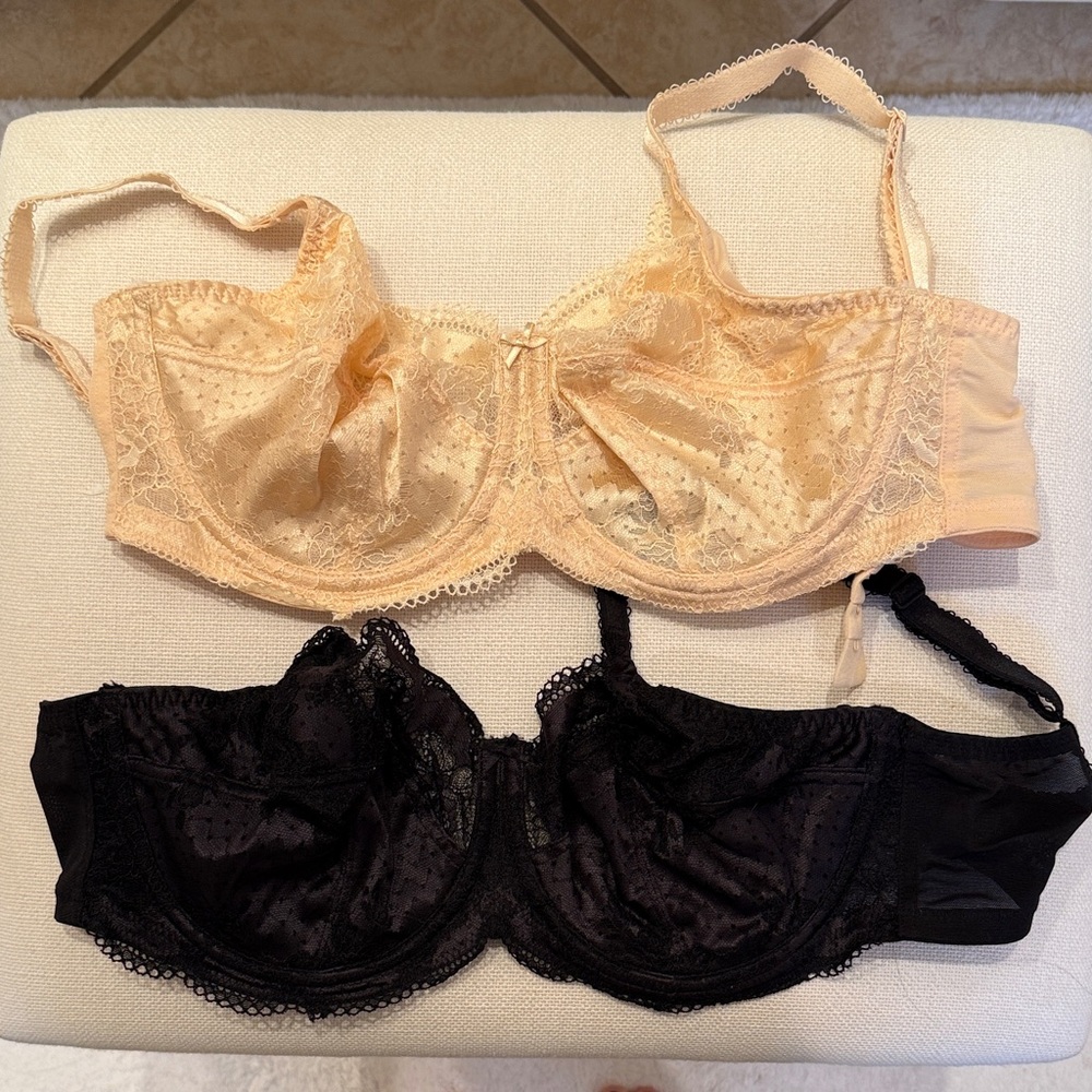 Panache Elegant Black and Cream Clara Bras